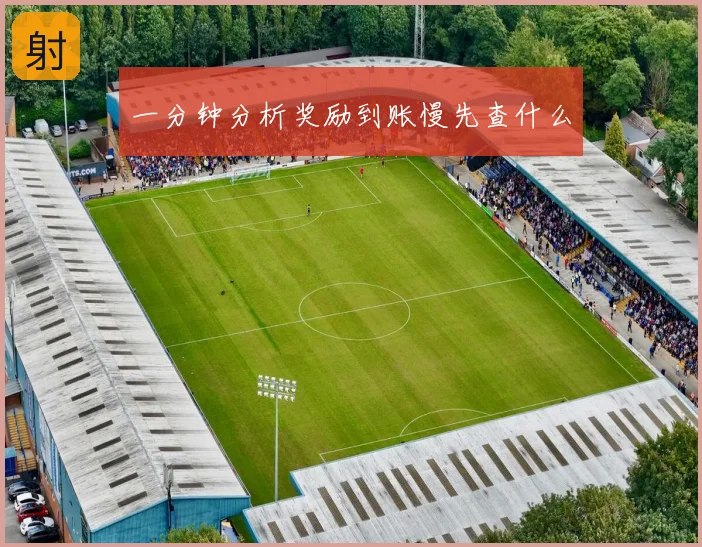 一分钟分析奖励到账慢先查什么